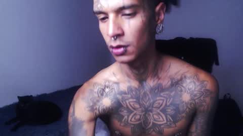 Snapshot of black_firex chatting on October 3, 11:43 pm black_firex online show from October 3, 11:43 pm