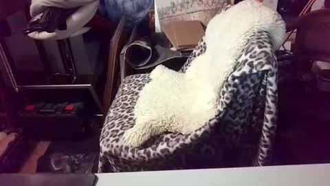 blindsurfer780299 online show from March 15, 5:15 am