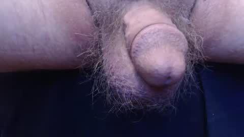 bluebee420 online show from September 19, 9:21 am