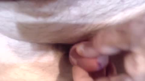 Snapshot of bobswan chatting on December 26, 5:19 pm bobswan online show from December 26, 5:19 pm