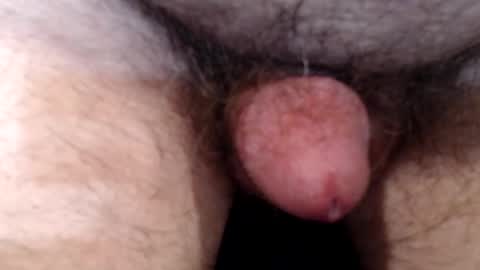 bobswan online show from March 10, 7:42 pm