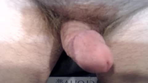 Snapshot of bobswan chatting on December 22, 3:55 pm bobswan online show from December 22, 3:55 pm