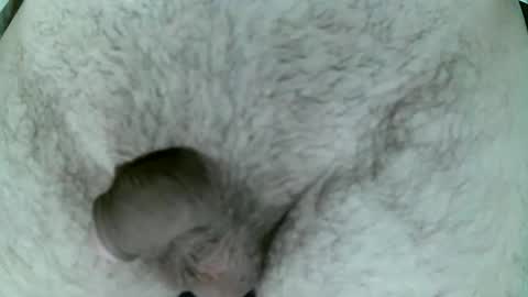 bombisse online show from March 2, 7:32 pm