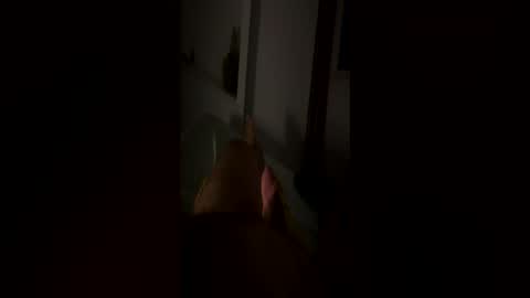 Mr Dicky online show from June 28, 10:38 pm