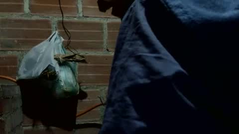 Boy online show from October 7, 2:48 am