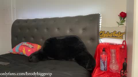 Brody Biggs online show from April 11, 12:51 am