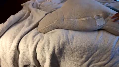 brownbootie1 online show from December 5, 8:05 pm