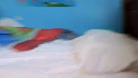 brownlatino22 online show from September 18, 12:40 pm