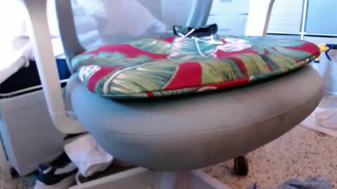 bruceb124u online show from March 11, 12:56 pm