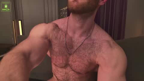 BRUCE online show from January 19, 2:49 pm