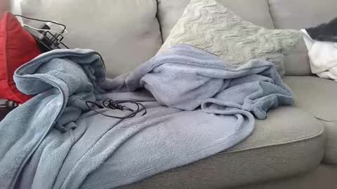 Buck online show from February 8, 4:44 pm