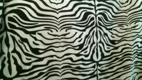 bustinfree online show from January 12, 2:54 pm