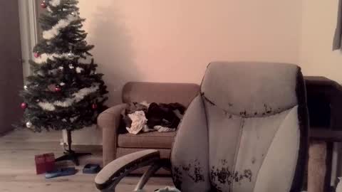  Astaroth  Angel  online show from December 2, 10:07 am