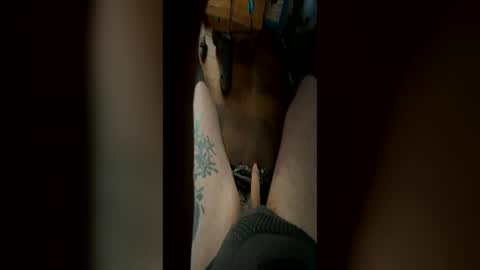 bwavesurfer69 online show from July 2, 9:32 pm