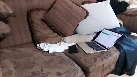 bxpapi69 online show from November 29, 8:55 pm