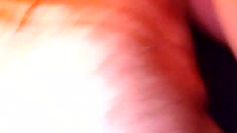 Snapshot of catkot912 chatting on January 31, 3:52 am catkot912 online show from January 31, 3:52 am