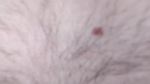 Snapshot of catkot912 chatting on January 8, 9:12 pm catkot912 online show from January 8, 9:12 pm