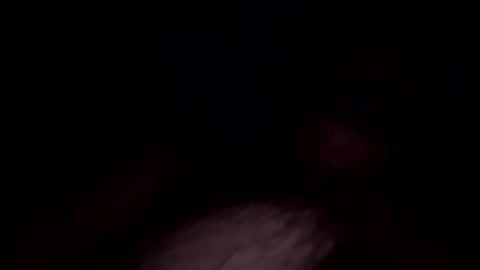 Snapshot of chefsd chatting on November 1, 4:27 am Chef online show from November 1, 4:27 am