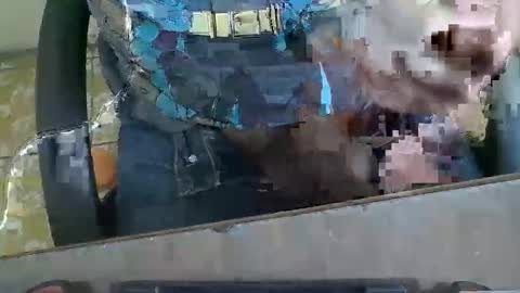 chinomorocho online show from November 20, 8:18 pm