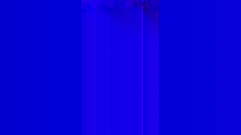 Chococity online show from February 25, 10:49 am