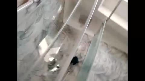 ciaoneciaone25 online show from March 8, 1:04 pm