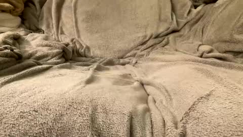 join the circle online show from February 22, 1:56 pm