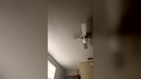 cm653925 online show from February 3, 1:38 pm