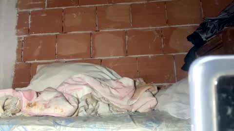 Corrado online show from January 18, 8:41 am