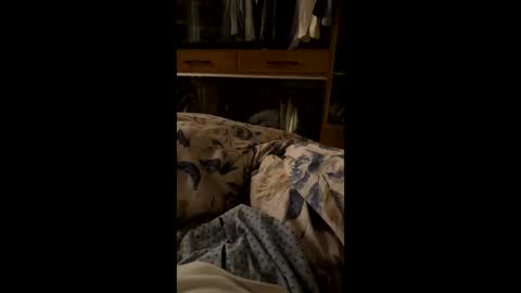 crazzylover9191 online show from October 28, 7:38 pm