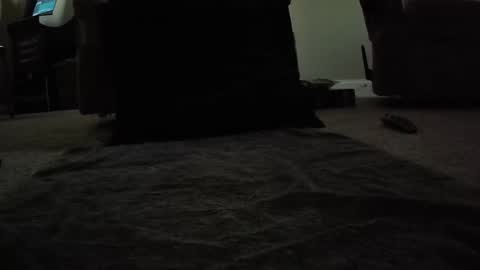 creature__cumfort online show from June 10, 12:01 am