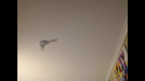 d____w online show from February 16, 8:23 am