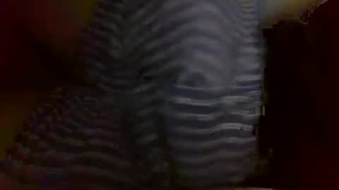 Daboy-t online show from January 5, 1:15 pm