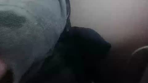 DDick online show from November 1, 9:46 am