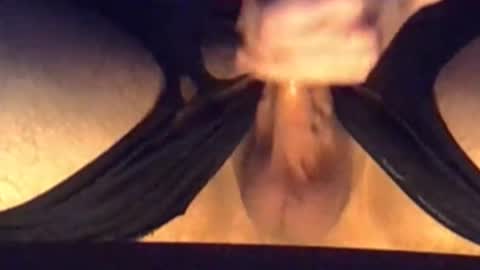 daddypervbuttprincess online show from December 18, 6:03 pm