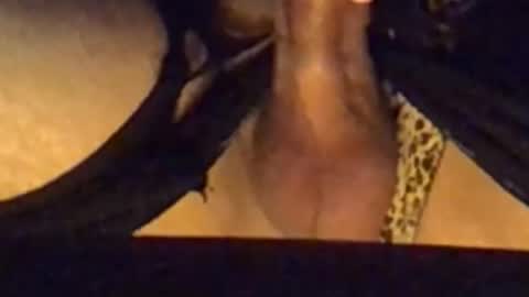 daddypervbuttprincess online show from September 13, 2:51 pm