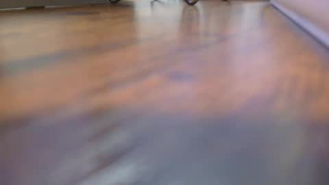 Snapshot of daddysmalls_55 chatting on October 25, 2:52 pm daddysmalls online show from October 25, 2:52 pm