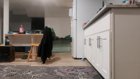 danimal5000 online show from November 9, 3:32 am