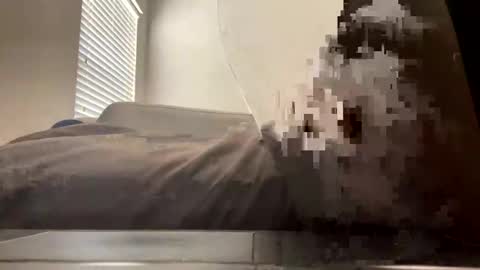 darthdragondick online show from January 11, 4:33 pm