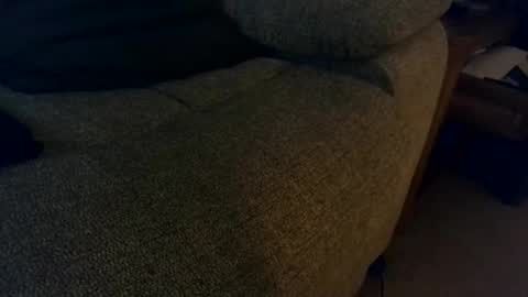 davesmiff1 online show from October 26, 9:06 pm