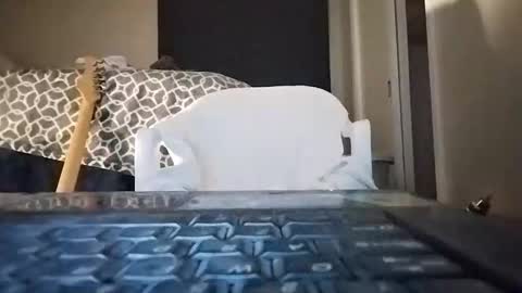 david_stone1969 online show from January 26, 3:38 am