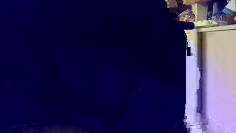 davidneedmore online show from January 6, 6:01 pm