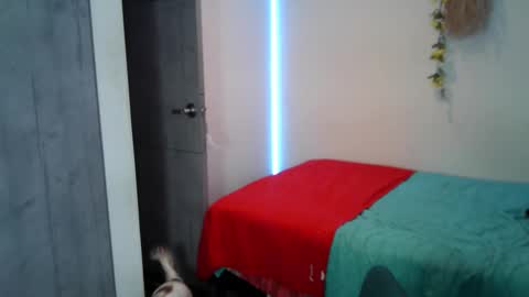 Demir Sky online show from November 15, 2:02 am