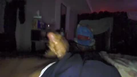 deyhfd online show from September 16, 10:38 am