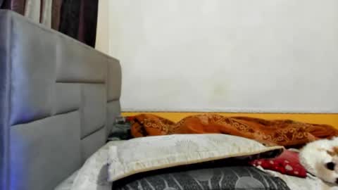 jhon online show from March 7, 6:33 pm