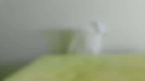 didonc from france..... online show from March 27, 8:26 am