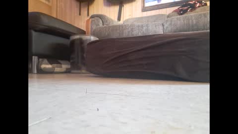 dildosnme22 online show from February 19, 7:48 pm