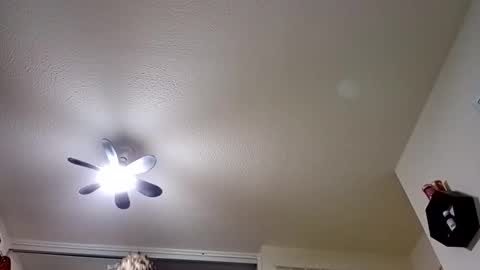 Small Dick online show from November 28, 11:17 pm