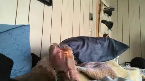 dingbat1979 online show from March 18, 8:34 pm