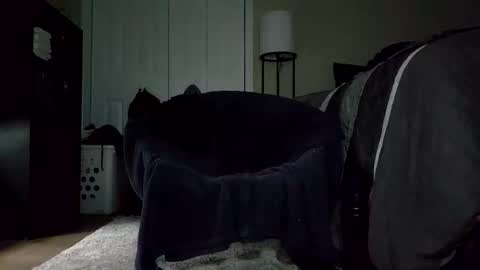 Discreetdwarf88 online show from February 27, 6:40 pm