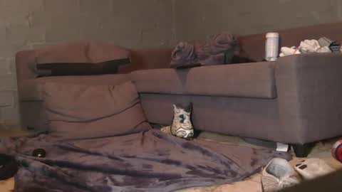 dljockbro online show from March 1, 8:52 pm